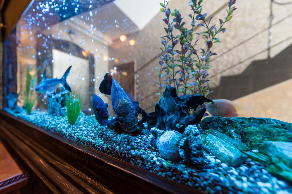 Premium Hotel 체르니우치 외부 사진